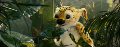Qui r&eacute;alise le film ''Sur la piste du Marsupilami'' ?