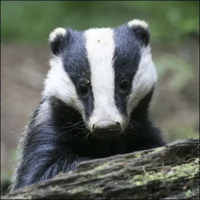 Comment s'appelle le premier livre du cycle ?