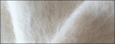 De quel animal provient l'angora ?
