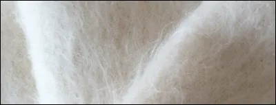 De quel animal provient l'angora ?