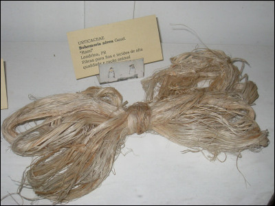 Quel est l'autre nom de la matière naturelle appelée "ramie" ?