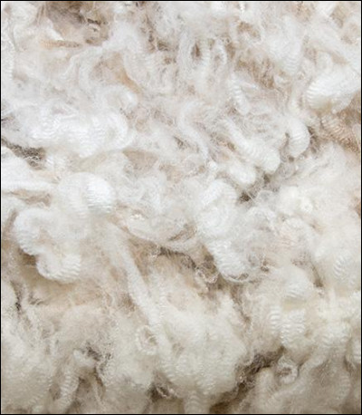 Comment appelle-t-on la laine composée d'un mélange avec du cachemire, de l'alpaga ou encore de la soie ?