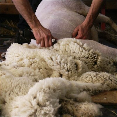 Comment appelle-t-on le procédé qui consiste à enlever les débris végétaux de la laine ?