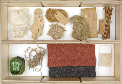 De quelle plante extrait-on les fibres pour créer des longues cordes et des toiles de qualité ?