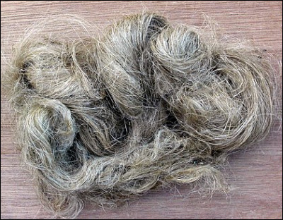 Quel pays est le premier producteur de chanvre au monde ?