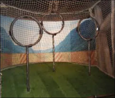 Qui est le gardien de l'équipe de Quidditch de Gryffondor ?