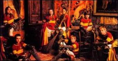 Qui sont les poursuiveurs de l'équipe de Quidditch de Gryffondor ?