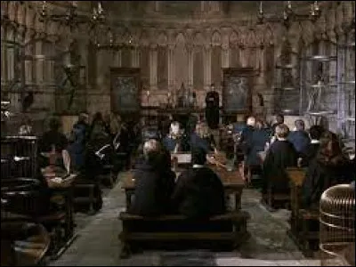 Qui est le professeur de métamorphoses ?