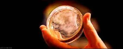 De quelle couleur est la fumée du rappeltout de Neville ?