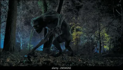 Qui s'est fait attaquer par le Hyde ?