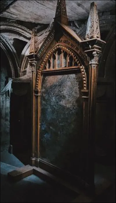 Que montre le miroir du risèd (selon Dumbledore) ?