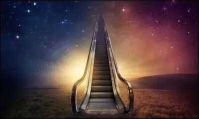 Comment appelle-t-on un r&ecirc;ve vraisemblablement en coh&eacute;rence avec les &eacute;v&eacute;nements survenus durant le r&ecirc;ve du dormeur ?