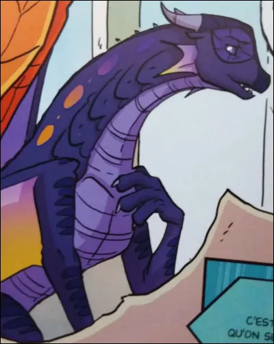 La dragonnette violette s'appelle...