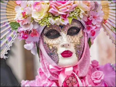 Quelle chanteuse est l'interprète du titre " Tomber le masque" ?