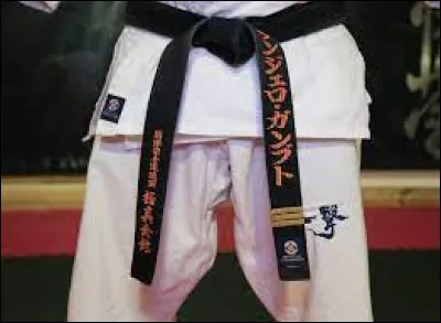 Sélectionnez l'ordre des ceintures (représentant les grades) du Kyokushin.