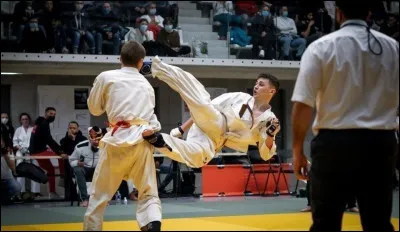 Pour quoi est réputée l'école Kyokushin ?