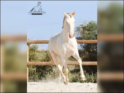 Quelle est cette robe ?