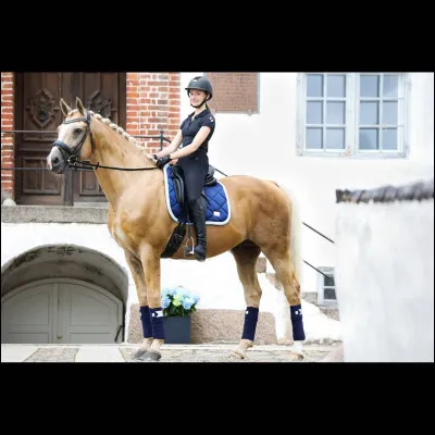 Quelle est cette robe ?