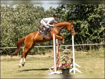 Quelle est cette robe ?