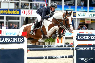 Quelle est cette robe ?