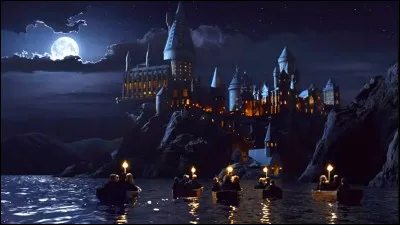 Qu'enseigne le professeur Binns &agrave; l'&eacute;cole Poudlard, dans l'univers Harry Potter ?