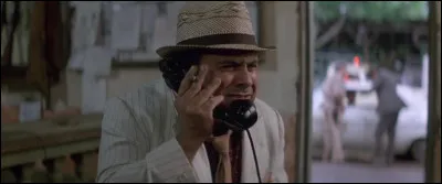 Comment s'appelle ce film d'aventure avec DeVito ?