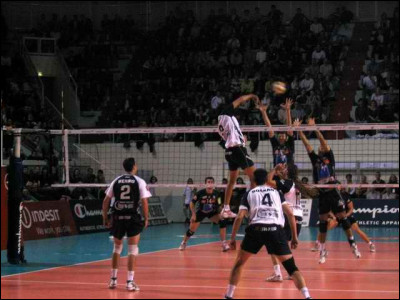 Quel est l'autre nom de "l'opposé passeur" ?