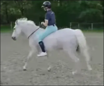 Lui, c'est ... et il appartient à ...