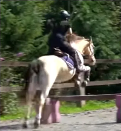 Lui, c'est ... et il appartient à ...