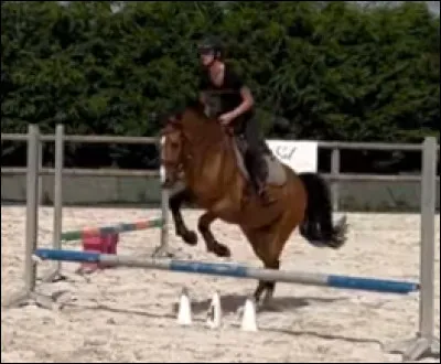 Lui, c'est ... et il appartient à ...