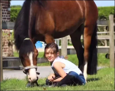 Lui, c'est ... et il appartient à ...