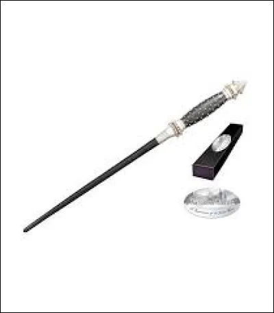 À qui appartient cette baguette ?