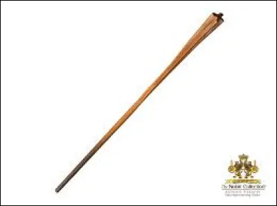 À qui appartient cette baguette ?