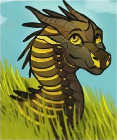 Quel caractère te définit le plus ?