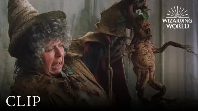 Dans le cours de Madame Chourave sur les mandragores, quel élève s'est évanoui pour avoir mal mis ses cache-oreilles ?