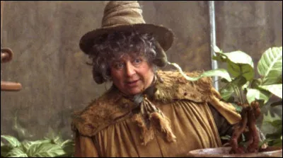 Pomona Chourave qui est professeur de botanique fait son apparition dans quel volet de la saga Harry Potter ? ( Dans le film)