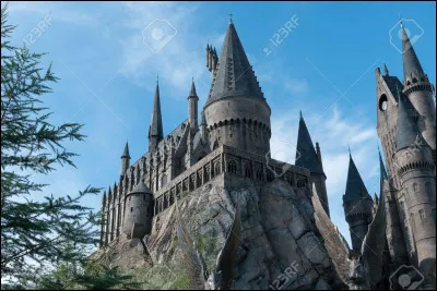 Parmi ces professeurs, lequel n'a jamais été professeur de défense contre les forces du mal ?