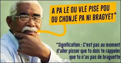 Contrairement aux langues européennes nées de longs processus et cheminements linguistiques (dérivations, mutations, etc.), les créoles sont désignées comme langues ...
