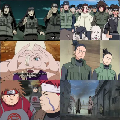 Quel est ton clan préféré ?