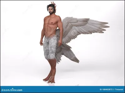 Qu'est-ce qu'un oiseau a et que n'ont pas les humains ?