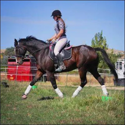 De quel côte monte-t-on sur sa monture ?