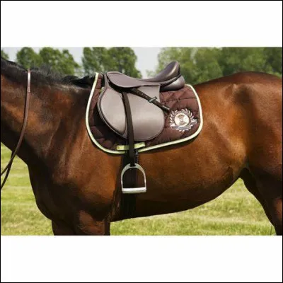 Et enfin comment s'appelle la chose sur laquelle on monte pour faire de l'équitation ,