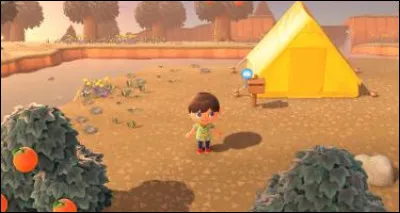 De quel jeu vidéo provient cette image ?