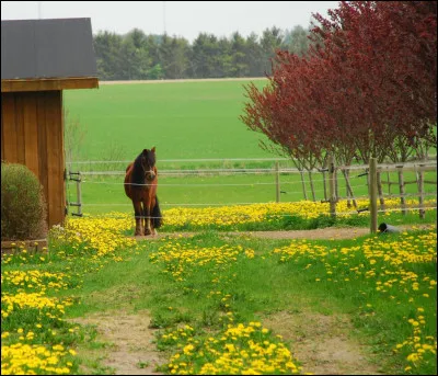 Quel lieu de détente est réel ?