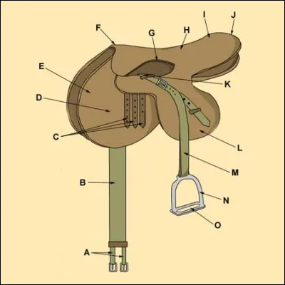 Comment s'appelle cette partie de la selle ?