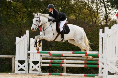 Que dois-tu faire en saut d'obstacles ?