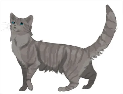 Cur Cendré s'est cassé la patte en tombant dans un terrier de lapin.