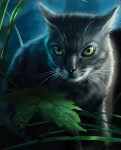 Branche Fleurie a eu quatre mentor.