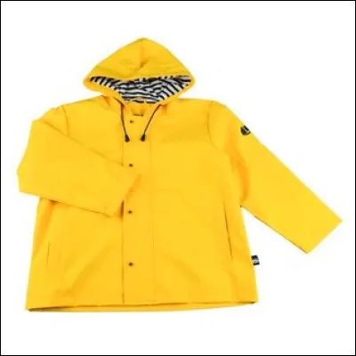 Quel professionnel porte limperméable jaune ?