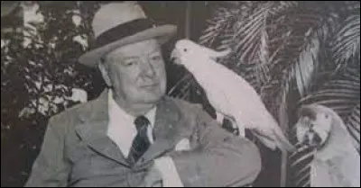 Qui possédait un perroquet nommé "Charlie" ?